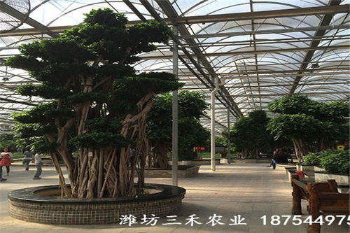 石嘴山生態餐廳設計建造施工 上門施工多年經驗 濰坊三禾農業
